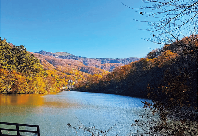 記事サムネ画像