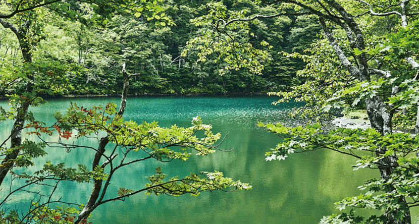 蔵王　ドッコ沼の写真